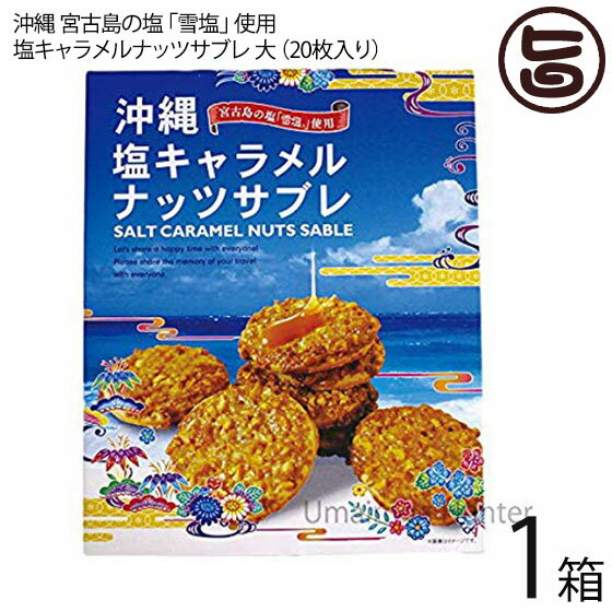 塩キャラメルナッツサブレ大×1箱 沖縄土産 人気 お菓子 焼き菓子 サブレ お土産 バラマキ ばら撒き土産 個包装 サブレ ナッツ キャラメル