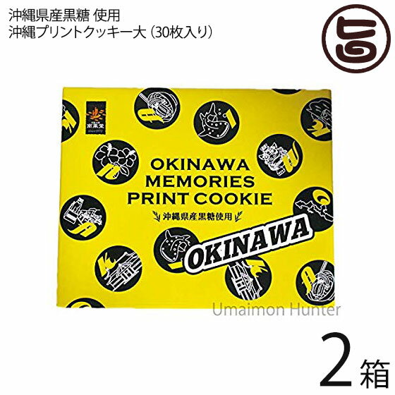 沖縄プリントクッキー大×2箱 沖縄土産 人気 お菓子 焼き菓子 クッキー お土産 バラマキ ばら撒き土産 個包装 プリントクッキー