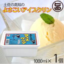 さめうらフーズ よさこいアイスクリン 1000ml×1個 高知県 四国 デザート 懐かしい 縁日の味 ご当地アイス 冬アイス