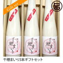 ギフト ほんのりほろよい ギフトセット 御神水源どぶろく 千穂まいり 300ml×3本