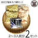 サンフーズ 白えび塩味 もつ鍋セット 2～3人前×1セット 〆らーめん入り 白エビ塩味スープ レシピ付