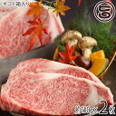 ギフト箱入り 亀山精肉店 前沢牛 A5等級 サーロイン ステーキ用 150g×2枚 和牛 贅沢 おすすめ ビタミンB2