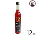 ぴゅあなアセロラ 500ml×12本 沖縄 土産 南国フルーツ 沖縄定番 人気 ビタミンC