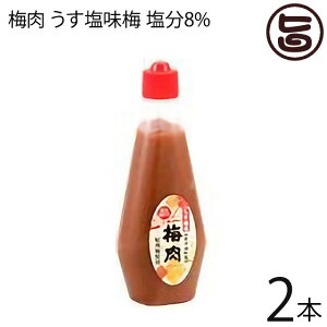 濱田 梅肉 うす塩味梅 (塩分8%) 340g×2本 梅肉ソース 梅肉チューブ クエン酸 リンゴ酸 一部地域追加送料あり