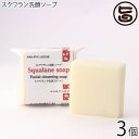 スクワラン本舗 スクワラン洗顔ソープ 100g×3個 スクワランオイル配合 保湿力の高い石鹸 沖縄 洗顔 石けん 美容 顔、全身に