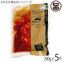 ランチョ・エルパソ どろぶた煮込みハンバーグ 200g×5P 特製トマトデミグラスソースで煮込