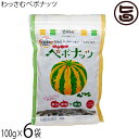 和寒シーズ わっさむペポナッツ 100g×6袋 北海道 かぼちゃの種 ストライプペポ ナッツ 国産