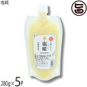 仲宗根糀家 塩こうじ 280g×5P 調味料