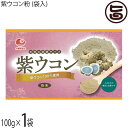比嘉製茶 紫ウコン粉 (袋入) 100g×1袋 沖縄 人気 定番 土産 うこん 鬱金 ウッチン 紫うこん100%使用 粉末タイプ