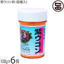 比嘉製茶 紫ウコン粉 容器入 100g×6個 精油成分豊富な紫ウコンサプリ