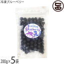 堀うち農園 冷凍ブルーベリー200g×5袋 無農薬栽培