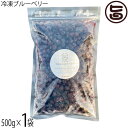 堀うち農園 冷凍ブルーベリー500g×1袋 無農薬栽培