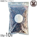 堀うち農園 冷凍ブルーベリー500g×10袋 無農薬栽培