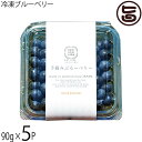 堀うち農園 冷凍ブルーベリー90g×5P 無農薬栽培