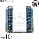 堀うち農園 冷凍ブルーベリー90g×10P 無農薬栽培