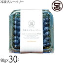 堀うち農園 冷凍ブルーベリー90g×30P 無農薬栽培