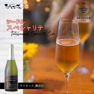 たてしなップルワイナリー スペシャリテ デミーセック 375ml 2本セット 長野 土産 ワイン フルーツワイン 果実酒 条件付き送料無料