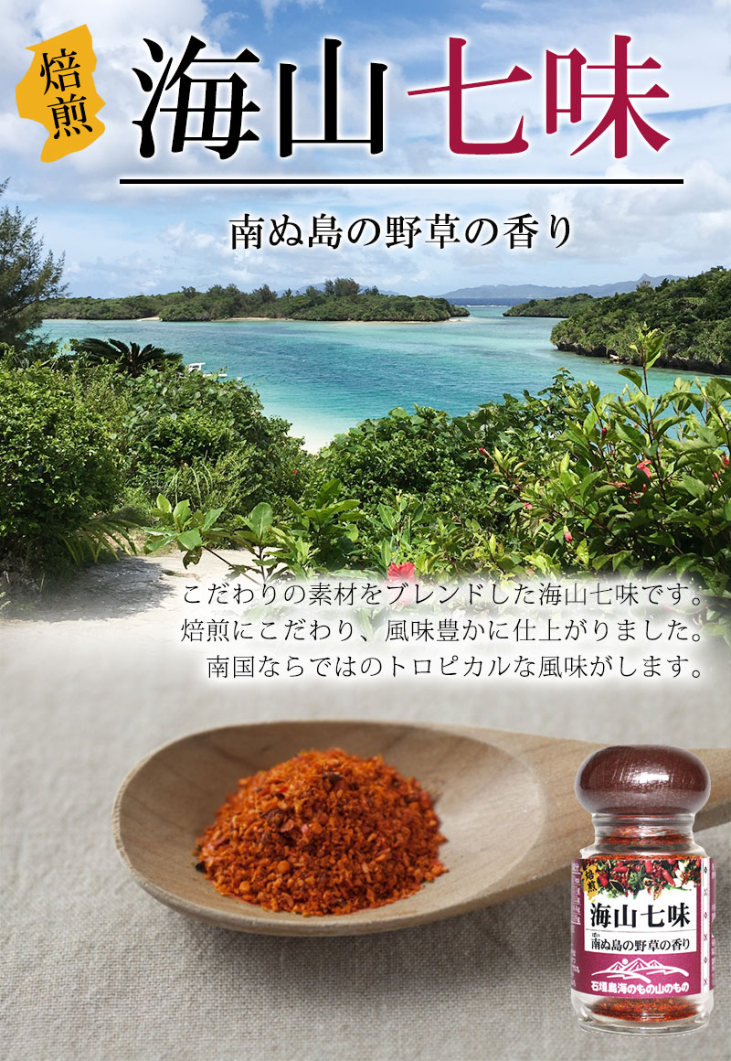 海のもの山のもの 海山七味 瓶入り 20g×20瓶 沖縄 土産 沖縄土産 送料無料