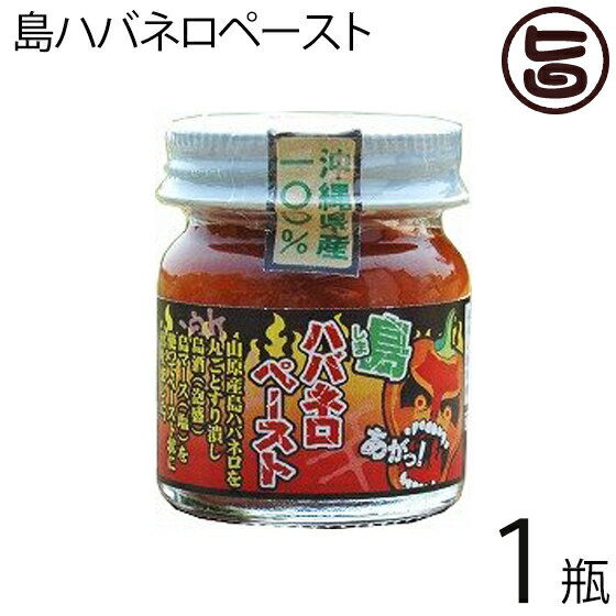 島ハバネロペースト 40g×1瓶 沖縄県産島ハバネロ100% 泡盛と島塩でペースト状に仕上げた超激辛スパイス 素材そのものの風味をいかした逸品 沖縄土産にもおすすめ