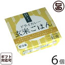 ギフト箱入り 一粒庵 ドライカレー玄米ごはん 125g×6個入りギフト 佐賀県唐津産 特別栽培米 夢しずく ふっくら もちもち 便利 レンジ調理