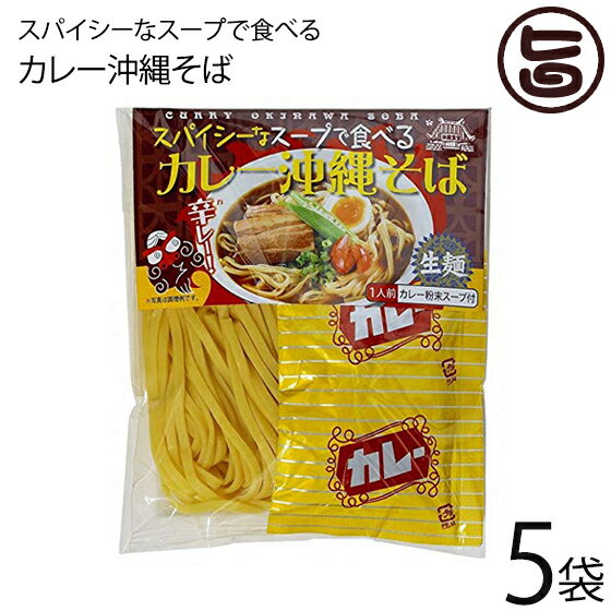 琉津 スパイシーなスープで食べるカレー沖縄そば 118g×10P 生麺 スープ付き お手軽 便利 沖縄 土産 珍..