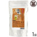 沖縄ウコン販売 沖縄産ウコン100% 琉球ウコン粉末 アルミ袋 100g×1袋