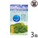 海ぶどう 沖縄県産 海洋深層水使用 シークヮーサー黒糖タレ付き 60g×3箱 沖縄土産 人気 お土産 珍味 おつまみ 人気 父の日