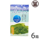 海ぶどう 沖縄県産 海洋深層水使用 シークヮーサー黒糖タレ付き 40g×6箱