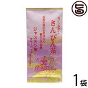 沖縄ジャスミン茶 ティーパック 3g×10P×1袋 沖縄土産 沖縄 土産 さんぴん茶 おすすめ