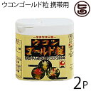 ウコン複合体 ウコンゴールド粒 携帯用 130粒入×2P 沖縄土産 沖縄 土産 うこん 健康管理