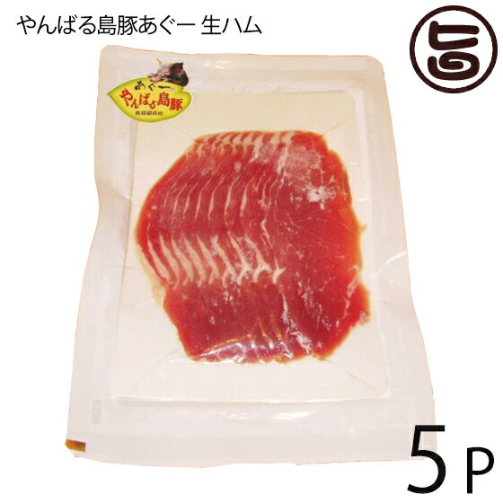 生ハム フレッシュミートがなは やんばる島豚あぐー ≪黒豚≫ 生ハム 100g×5P フレッシュミートがなは 沖縄 アグー あぐー