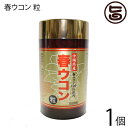 沖縄ウコン販売 沖縄産100% 春ウコン粒100g(100mg×1000粒)×1個 沖縄 健康維持 1