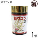 沖縄ウコン販売 沖縄産100% 春ウコン粒 1個(1個・25g/約250粒)×1個 沖縄 健康維持