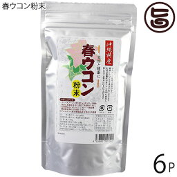 沖縄ウコン販売 沖縄産 春ウコン粉末 100g×6袋 沖縄 健康維持