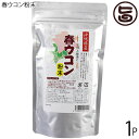 沖縄ウコン販売 沖縄産 春ウコン粉末 100g×1袋 沖縄 健康維持