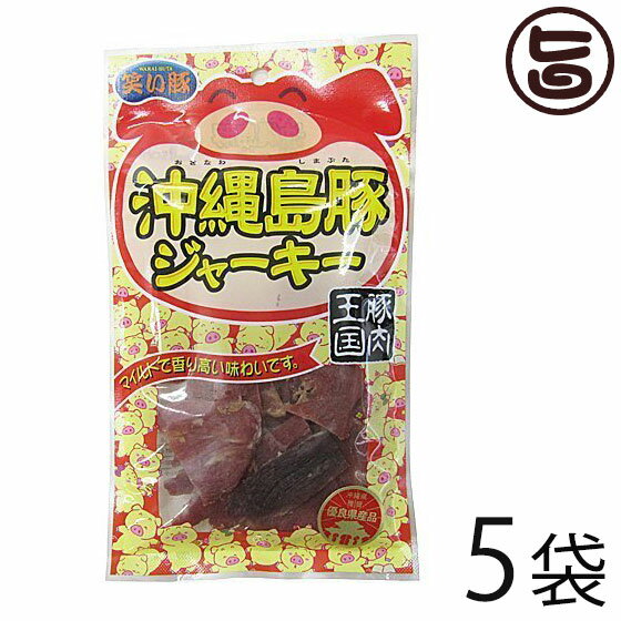 あさひ 沖縄島豚ジャーキー 45g×5P 沖縄 土産 定番 土産 珍味 おつまみ おやつ 送料無料