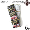 【名称】豆菓子 【内容量】80g(16g×5袋)×6セット (5連タイプ) 【賞味期限】製造日より180日※未開封時 【原材料】落花生、寒梅粉、砂糖、水飴、小麦粉、澱粉、黒コショー、食塩、デキストリン、酵母エキス、しょうゆ、ポークエキス、牛肉(石垣牛）パウダー、ヒハツ、ガーリックパウダー、乳糖、植物油脂/膨張剤、調味料（アミノ酸等）、酸味料、香料（原材料の一部に落花生、乳成分、卵、大豆、小麦、牛肉、豚肉を含む） 【保存方法】直射日光、高温多湿を避け常温で保存してください。 【お召上がり方】言わずと知れた沖縄土産の定番商品。そのままスナックとしてお召し上がりください。ビールのおつまみとしても最高です。【栄養成分表示】1袋16gあたり：エネルギー86.4kcal、たんぱく質3.0g、脂質5.2g、炭水化物7.0g、食塩相当量0.3g【JANコード】4535572117307 【販売者】株式会社オリーブガーデン（沖縄県国頭郡恩納村） メーカー名 沖縄パイオニアフーズ 原産国名 日本 産地直送 沖縄県 商品説明 おやつに！お酒のお供に！石垣島の恵まれた気候で育成された「石垣牛」の風味をスパイシーに仕上げたナッツです。 安全上のお知らせ 開封後は、賞味期限にかかわらず、早い目にお召し上がりください。美味しく頂けます。宅急便：常温着日指定：〇可能 ギフト：×不可 ※生産者より産地直送のため、他商品と同梱できません。※納品書・領収書は同梱できません。　領収書発行は注文履歴ページから行えます。 こちらの商品は全国送料無料です