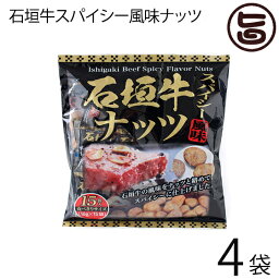 沖縄パイオニアフーズ 石垣牛スパイシー風味ナッツ 16g×15袋入り×4袋 沖縄 土産 定番 人気 おつまみ 個包装 食べきりサイズ