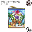 ジーエー 沖縄バッチ付ドロップ缶 パイン味 85g×9缶 沖縄 土産 人気 ドロップス おまけ付き 缶 キャンディ