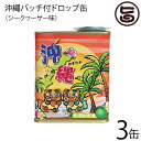 ジーエー 沖縄バッチ付ドロップ缶 シークワーサー味 85g×3缶 沖縄 土産 人気 ドロップス おまけ付き 缶 キャンディ 1