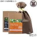 オーガニック琉球ヘナ&琉球藍セット 箱入100g×各1箱 ラッピング 白髪染め 染毛料 国産 沖縄 土産 沖縄土産 有機 元祖 最高級 植物染料