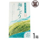 グローアップコーポレーションF 海ぶどう 100g×1箱 海洋深層水使用 海藻 うみぶどう 沖縄 土産 定番 人気
