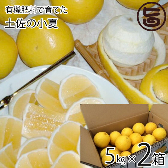 【名称】土佐小夏 【内容量】5kg×2箱 【賞味期限】冷蔵で約10日 【原材料】高知県産小夏 【保存方法】商品到着後、ビニール袋に入れ口を閉めて冷蔵庫で保管しお早めにお召し上がりください。 【お召上がり方】皮をリンゴのように薄くむき、中の芯を取り除き果肉をスライス状に切り白い甘皮を 付けたまま食します。 冷蔵庫で冷やして食べればとても美味しいです。甘く爽やかな舌触りとほのかな香り が一層美味しくいただけます。 皮の内側の白い薄皮も食べられます。【JANコード】4582344239842 【販売者】株式会社オリーブガーデン（沖縄県国頭郡恩納村） メーカー名 土佐名産会 原産国名 日本 産地直送 高知県 商品説明 〜初夏の果実 甘い柔らかい舌ざわり〜小夏は自然な甘さと少し酸味のある果物です。ささやかで上品な香りと、味をお楽しみください。南国土佐の自然の恵みをいっぱい受けて育った高知の初夏を代表する柑橘類・小夏。高知県須崎市、黒潮町の海に面した山の傾斜地で日差しをたっぷりと浴びて育った小夏果実です。海から吹きあげてくる潮風と、水はけの良い山の傾斜地が小夏の酸味と風味のバランスを整え、糖度の高い美味しい果実に育ちました。小夏農園のすぐそば、50m先には海があります。潮風に当たって育った小夏は抜群に甘みが増します。■小夏とは旬は4月〜6月頃。大きさは温州みかん程(直径約7cm〜8cm)です。初夏の絶品フルーツとして根強い人気があります。小夏には別名があり、「日向夏」「サマーオレンジ」とも呼ばれます。江戸時代の1820年に偶然自生しているところを発見されて以降、高知県ほか、宮崎県・愛媛県・熊本県など、温暖な地域を中心に栽培されるようになりました。柚子が突然変異して生まれたものと考えられています。発見当初は酸味がかなり強かった小夏ですが、今では酸味と甘みのバランスが取れており、スッキリとした味わいです。果肉は柔らかくジューシーで、清涼な風味があります。研究が進んだ結果、種無しの小夏もできるようになりました。爽やかで甘酸っぱい小夏は、初夏にピッタリなフルーツです。高知県は古くから、お米・野菜・果物の産地として発展してきました。・温暖な気候である・朝晩の気温差が大きい・太陽の光がたっぷりと降り注ぐ・冬でもめったに雪が降らないため、土の温度が極端に下がらないなど、農作物を育てる上で良い条件が揃っているのが理由です。小夏もそのうちの一つで、日本の小夏の生産量のうち30%前後を高知県が占めています。弊社がお届けするのは、3月〜4月にかけて摘果した小夏です。今年の小夏も、香り豊かで甘く瑞々しいですよ。そのまま召し上がるのはもちろん、ハチミツをかけても美味しいですよ。宅急便：冷蔵着日指定：×不可 ギフト：×不可 ※重要なお知らせ：※収穫・発送準備ができ次第出荷させていただきます。生育具合によりお時間がかかる場合もございます。必ず一度目の配達でお受け取りいただけるようお願いします。 不在の恐れがある場合は、送り状お問合せ番号を最寄りの営業所にご連絡の上、 在宅時間をお伝え下さいますようお願いいたします。 生鮮食品・青果は、商品特性上保管期間を過ぎると処分になる場合がございます。 保管期間中の品質については、保証できかねます。 ※産地直送品につき、出荷後商品の返品・交換はお受けできません。※生産者より産地直送のため、他商品と同梱できません。※納品書・領収書は同梱できません。　領収書発行は注文履歴ページから行えます。 記載のない地域は送料無料（送料は個数分で発生します） こちらの商品は一部地域で別途送料のお支払いが発生します。「注文確定後の注文履歴」や当店の件名に[重要]とあるメールでご確認ください。 ＋2,090円 北海道 ＋390円 北東北（青森・秋田・岩手） ＋390円 南東北（宮城・山形・福島） 配送不可 沖縄 配送不可 離島 ※「配送不可」地域へのご注文はキャンセルとなります。 ※大量注文をご検討のお客様は、ご注文前にお問い合わせください。