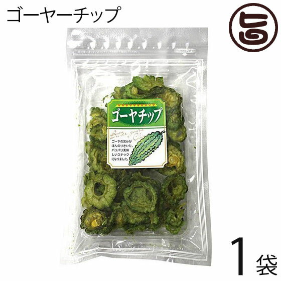 丸茂食品 ゴーヤーチップ 63g×1袋 沖縄 土産 人気 野菜チップス 苦瓜 ドライ野菜 おやつ 送料無料