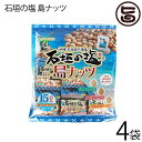 石垣の塩 島ナッツ 240g(16g×15袋入り)×4袋 人気 おつまみ 珍味 お酒に合う 豆菓子 ミックスナッツ 送料無料