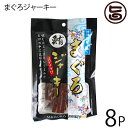 大栄食品 北谷の塩 鮪ジャーキースティック 60g×8P 沖縄 土産 まぐろ 燻製 珍味 おつまみ おやつ