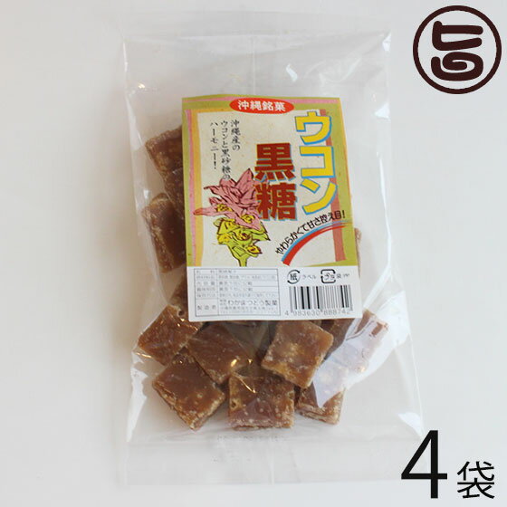 わかまつどう製菓 ウコン黒糖 (加工) 140g×4袋 沖縄 人気 土産 定番 お菓子 黒砂糖 林修の今でしょ 講座 黒糖