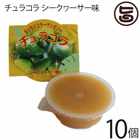 リリーフーズ チュラコラ (コラーゲンゼリー) シークヮーサー味 10個セット (2個入り×5袋) 沖縄 土産 無着色 無香料 天然コラーゲン もっちりゼリー シークワーサー