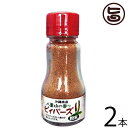 大城海産物加工所 八重山の香り ピィパーズ (島こしょう) 20g×2本 沖縄 調味料 人気 希少 ヒハツ ヒハツモドキ