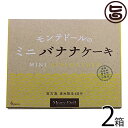 ミニバナナケーキ (6個箱入)×2箱 モンテドール 沖縄 宮